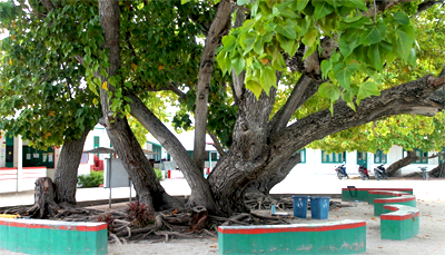 خودغرضی کی سزا